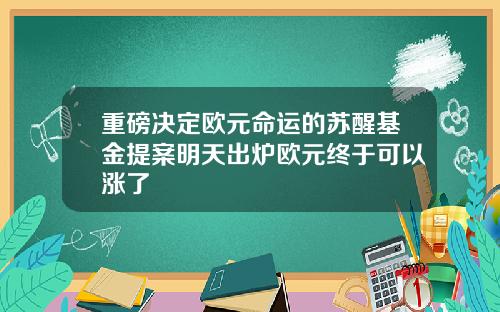 重磅决定欧元命运的苏醒基金提案明天出炉欧元终于可以涨了