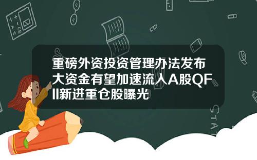 重磅外资投资管理办法发布大资金有望加速流入A股QFII新进重仓股曝光