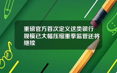 重磅官方首次定义这类银行规模已大幅压缩重拳监管还将继续