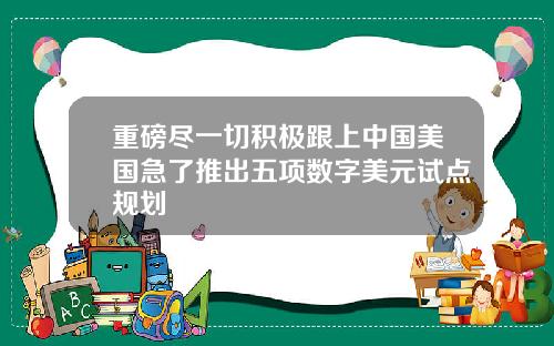 重磅尽一切积极跟上中国美国急了推出五项数字美元试点规划