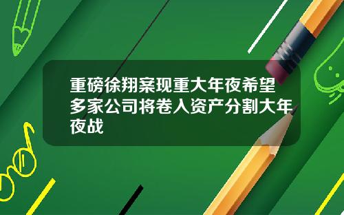 重磅徐翔案现重大年夜希望多家公司将卷入资产分割大年夜战