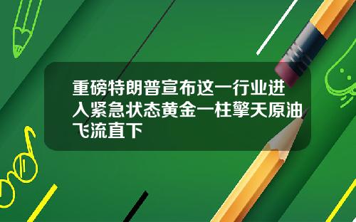 重磅特朗普宣布这一行业进入紧急状态黄金一柱擎天原油飞流直下