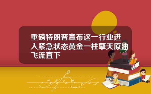 重磅特朗普宣布这一行业进入紧急状态黄金一柱擎天原油飞流直下