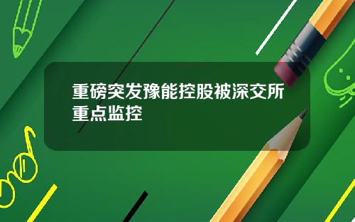 重磅突发豫能控股被深交所重点监控