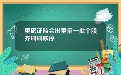 重磅证监会出重招一批个股齐刷刷跌停