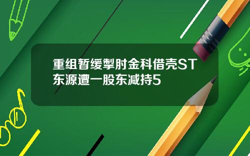 重组暂缓掣肘金科借壳ST东源遭一股东减持5