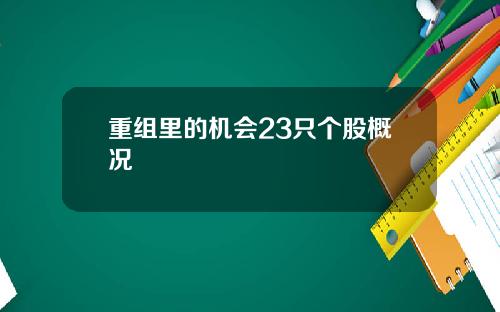 重组里的机会23只个股概况