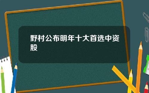 野村公布明年十大首选中资股