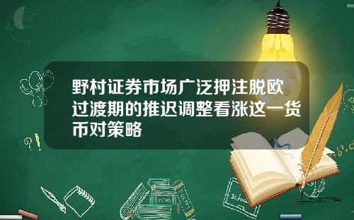 野村证券市场广泛押注脱欧过渡期的推迟调整看涨这一货币对策略