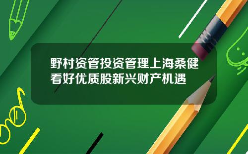 野村资管投资管理上海桑健看好优质股新兴财产机遇