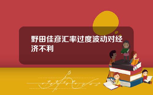 野田佳彦汇率过度波动对经济不利