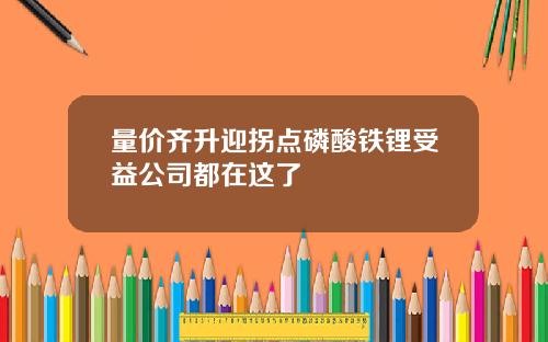 量价齐升迎拐点磷酸铁锂受益公司都在这了