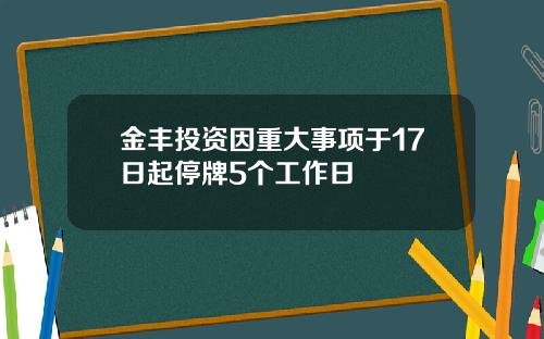 金丰投资因重大事项于17日起停牌5个工作日