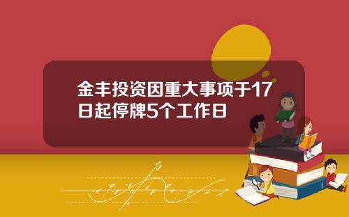 金丰投资因重大事项于17日起停牌5个工作日