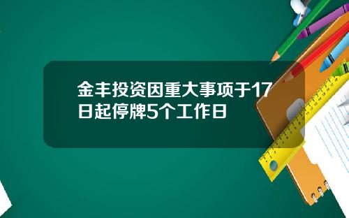金丰投资因重大事项于17日起停牌5个工作日
