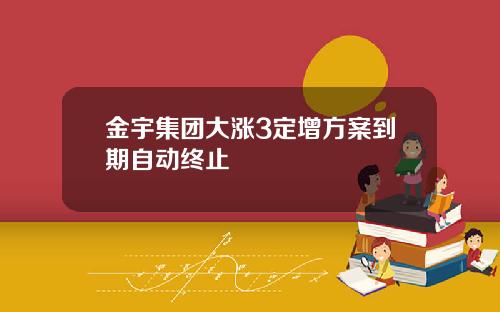 金宇集团大涨3定增方案到期自动终止