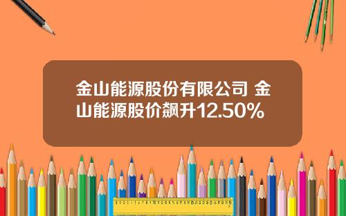 金山能源股份有限公司 金山能源股价飙升12.50%