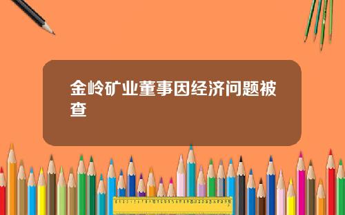 金岭矿业董事因经济问题被查