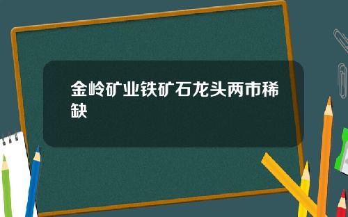 金岭矿业铁矿石龙头两市稀缺