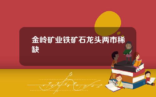 金岭矿业铁矿石龙头两市稀缺
