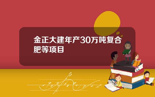 金正大建年产30万吨复合肥等项目