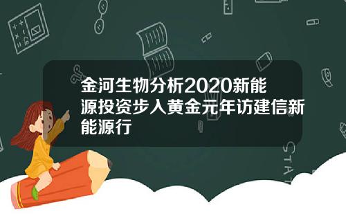 金河生物分析2020新能源投资步入黄金元年访建信新能源行