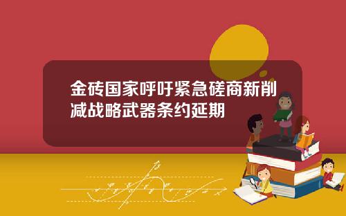 金砖国家呼吁紧急磋商新削减战略武器条约延期