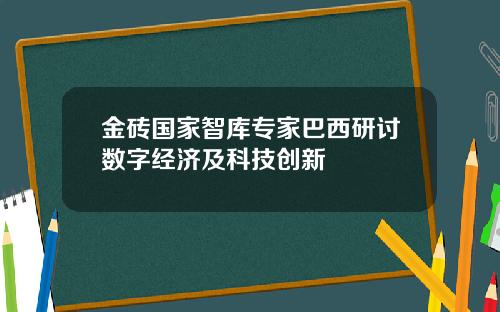 金砖国家智库专家巴西研讨数字经济及科技创新