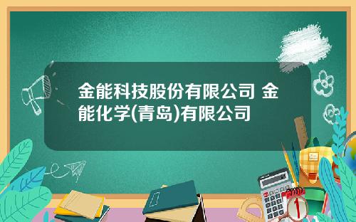 金能科技股份有限公司 金能化学(青岛)有限公司