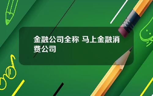 金融公司全称 马上金融消费公司