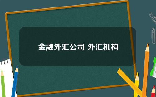 金融外汇公司 外汇机构
