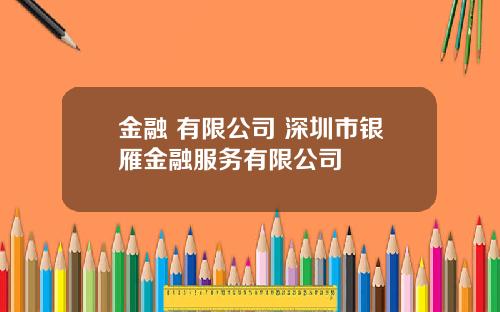 金融 有限公司 深圳市银雁金融服务有限公司