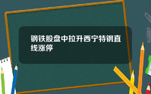 钢铁股盘中拉升西宁特钢直线涨停
