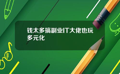 钱太多搞副业IT大佬也玩多元化