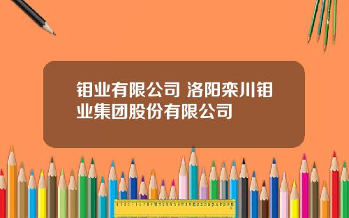 钼业有限公司 洛阳栾川钼业集团股份有限公司