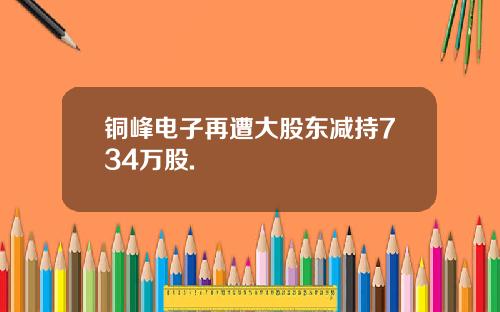 铜峰电子再遭大股东减持734万股.