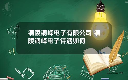 铜陵铜峰电子有限公司 铜陵铜峰电子待遇如何