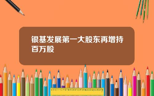银基发展第一大股东再增持百万股