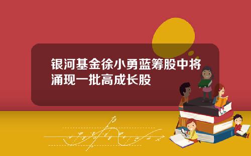 银河基金徐小勇蓝筹股中将涌现一批高成长股