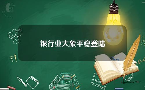 银行业大象平稳登陆