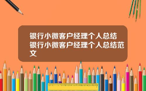 银行小微客户经理个人总结银行小微客户经理个人总结范文