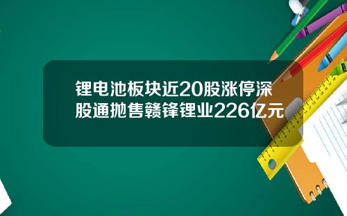锂电池板块近20股涨停深股通抛售赣锋锂业226亿元