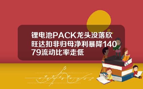 锂电池PACK龙头没落欣旺达扣非归母净利暴降14079流动比率走低