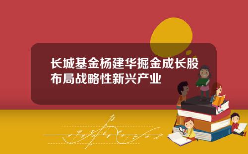 长城基金杨建华掘金成长股布局战略性新兴产业