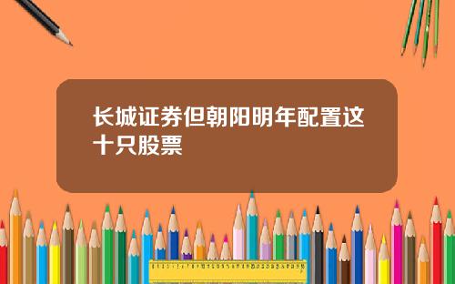 长城证券但朝阳明年配置这十只股票