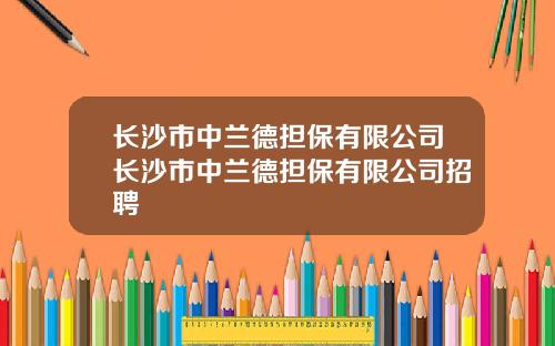 长沙市中兰德担保有限公司长沙市中兰德担保有限公司招聘