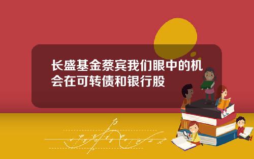 长盛基金蔡宾我们眼中的机会在可转债和银行股
