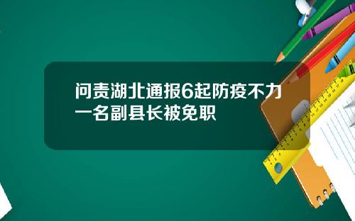 问责湖北通报6起防疫不力一名副县长被免职