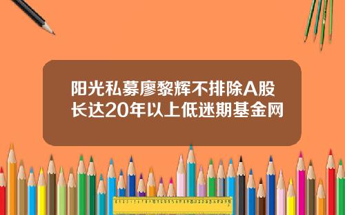 阳光私募廖黎辉不排除A股长达20年以上低迷期基金网
