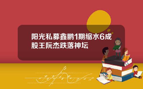 阳光私募鑫鹏1期缩水6成股王阮杰跌落神坛